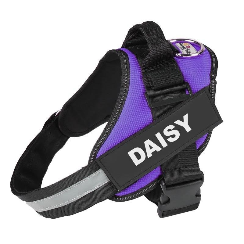 PETFULWORLD™ Personalised No Pull Dog Harness