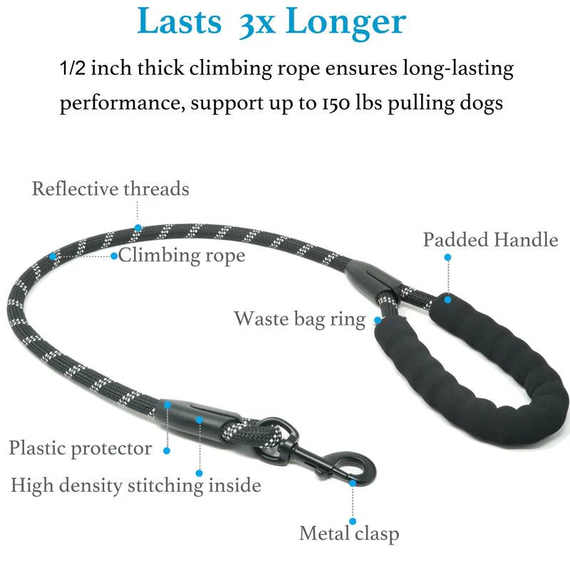 Heavy Duty Bungee Dog Leash