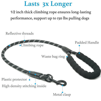 Heavy Duty Bungee Dog Leash