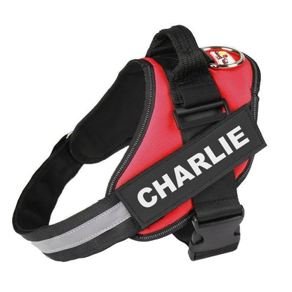 PETFULWORLD™ Personalised No Pull Dog Harness