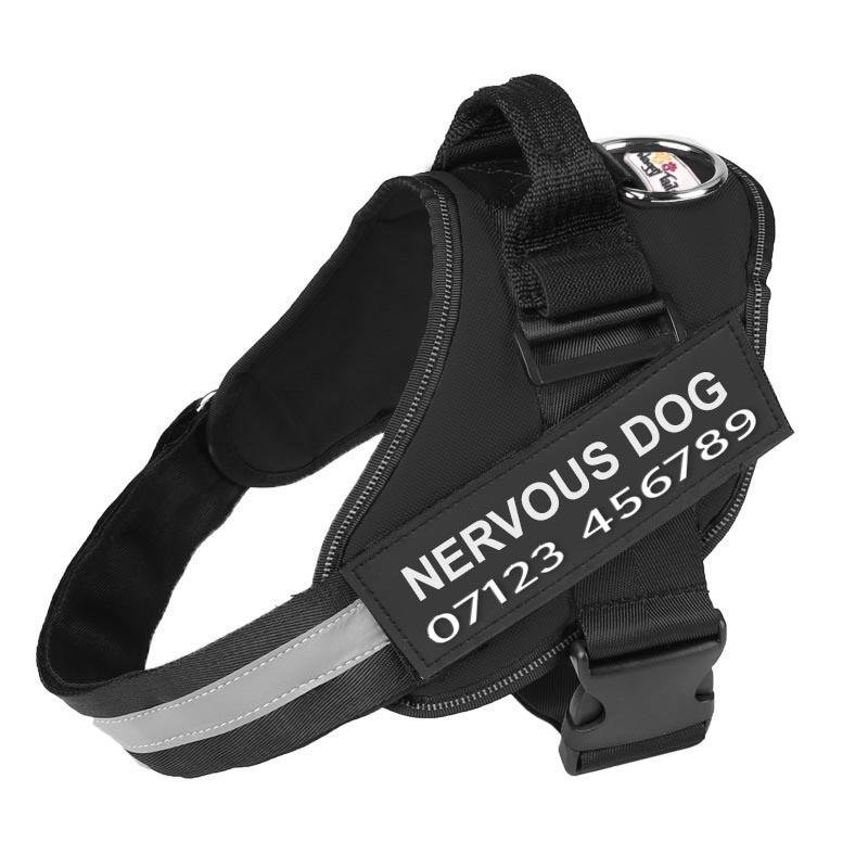 PETFULWORLD™ Personalised No Pull Dog Harness