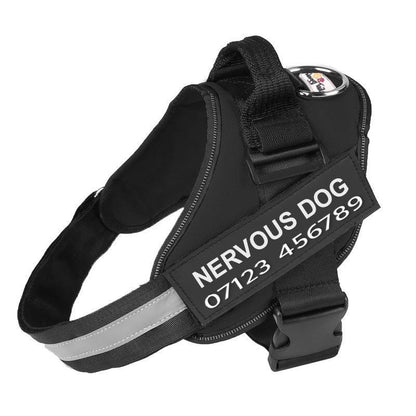 PETFULWORLD™ Personalised No Pull Dog Harness