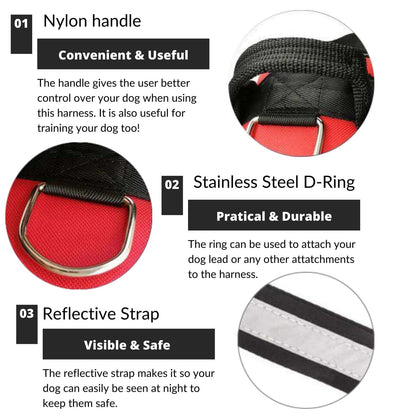 PETFULWORLD™ Personalised No Pull Dog Harness