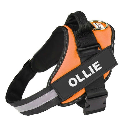 PETFULWORLD™ Personalised No Pull Dog Harness
